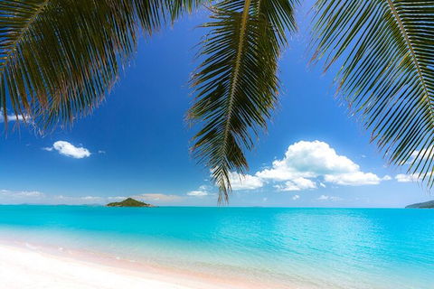 Reef, Wildlife & Rainforest - Reef & Beyond Guided Holidays - Tourism Canberra 4