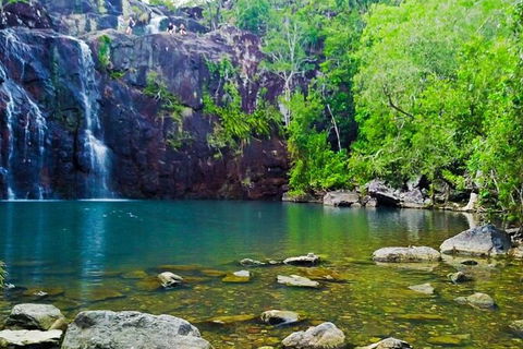 Reef, Wildlife & Rainforest - Reef & Beyond Guided Holidays - Tourism Canberra 0