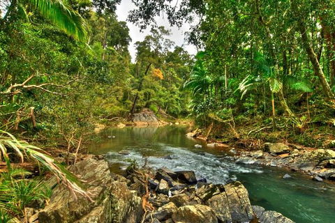 Reef, Wildlife & Rainforest - Reef & Beyond Guided Holidays - Tourism Canberra 3
