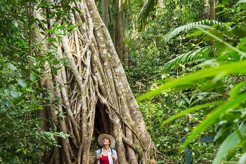 Reef, Wildlife & Rainforest - Reef & Beyond Guided Holidays - Tourism Canberra 2