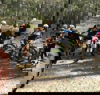 Gold Coast Mountain Bike Tour - Tourism Canberra