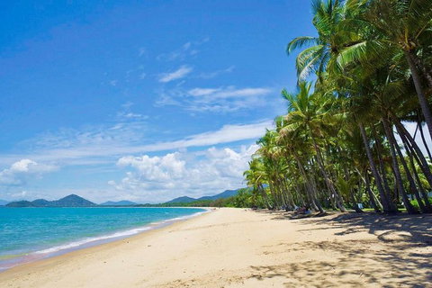 Airport Transfer - Cairns Airport To Palm Cove, Kewarra & Trinity Beaches - Tourism Canberra 4