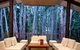 Airport Transfer - Cairns Airport To Palm Cove, Kewarra & Trinity Beaches - thumb 2