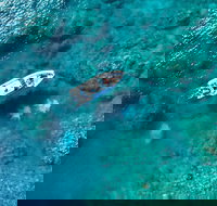 Premium Private Charter - Tourism Canberra