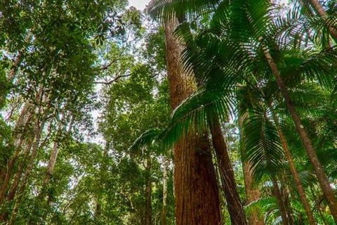 3-Day Fraser Island Hiking And 4WD Adventure From Hervey Bay - Tourism Canberra 1