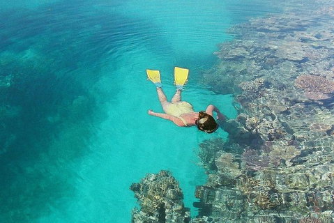 Great Barrier Reef Private Expedition Cruise (min 4 Day Max 8 Guests) - Tourism Canberra 6
