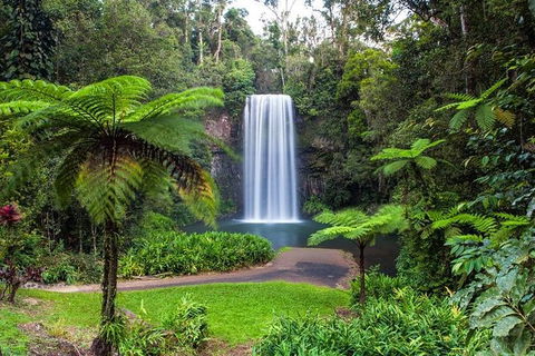 Cairns & Port Douglas All-Inclusive 7 Days Touring Package - Tourism Canberra 5
