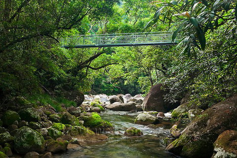 SHUTTLE - Mossman Gorge & Cooya Beach From Port Douglas (Return Transfer) - Tourism Canberra 4