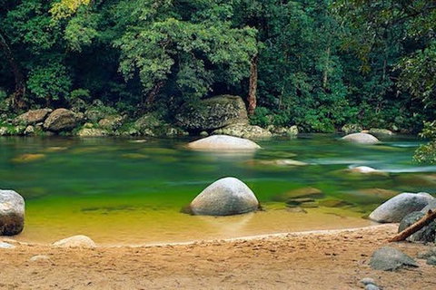 SHUTTLE - Mossman Gorge & Cooya Beach From Port Douglas (Return Transfer) - Tourism Canberra 1