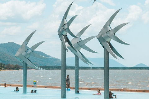 Cairns Airport Private Chater Transfer - Tourism Canberra 4