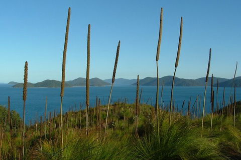 7-Day Private Sea Kayaking In Whitsundays - Tourism Canberra 8