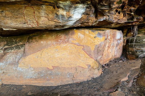 Half Day Aboriginal Rock Art Experience In Queensland - Tourism Canberra 3