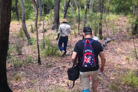 Half Day Aboriginal Rock Art Experience In Queensland - Tourism Canberra 5