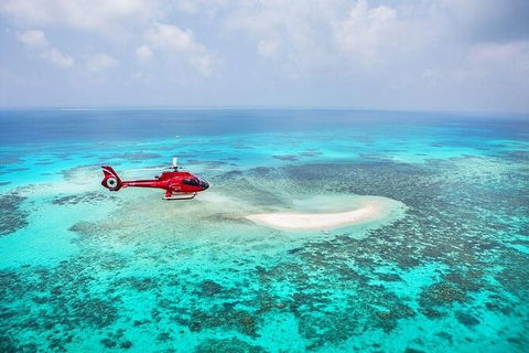 Day Tour To Kuranda, Rainforest And Port Douglas With Flight - Tourism Canberra 2