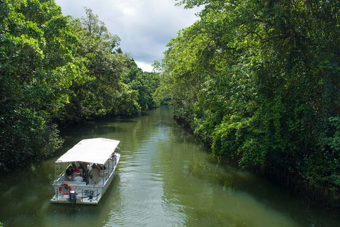 World Heritage Highlights: Reef/Daintree/Cape Tribulation - Tourism Canberra 1