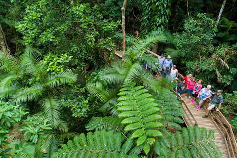 World Heritage Highlights: Reef/Daintree/Cape Tribulation - Tourism Canberra 3