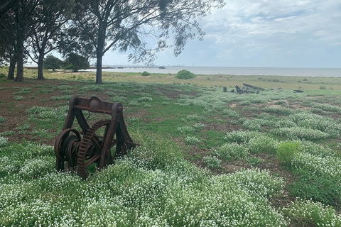 Half Day St. Helena Island Tour - Tourism Canberra 1