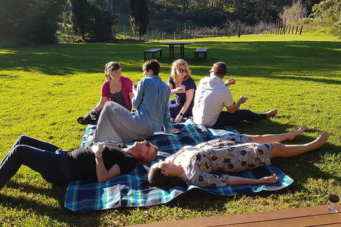 Mt Tamborine - Hinterland Wonders Self Guided - Tourism Canberra 1