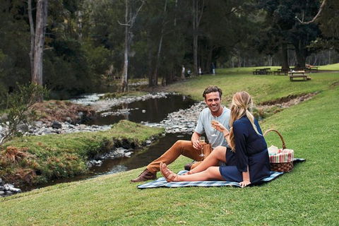 Mt Tamborine - Hinterland Wonders Self Guided - Tourism Canberra 0