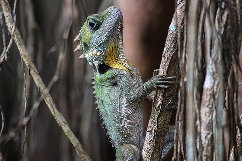 Mossman Gorge Adventure Day - Tourism Canberra 3