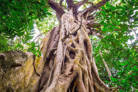 Mossman Gorge Adventure Day - Tourism Canberra 5