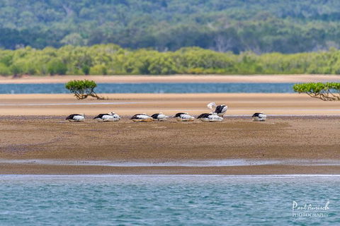 Sandy Straits Scenic & Wildlife Cruise - Tourism Canberra 3