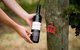 Barossa Valley Highlights From Barossa Valley Including Wine And Cheese Tasting - thumb 12