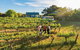 Barossa Valley Highlights From Barossa Valley Including Wine And Cheese Tasting - thumb 0