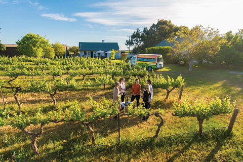 Barossa Valley Highlights From Barossa Valley Including Wine And Cheese Tasting - Tourism Canberra 0