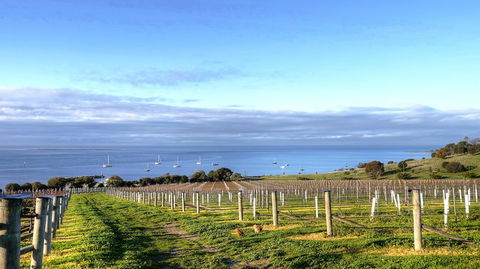 Kangaroo Island Gourmet Food And Wine Trail Tour - Tourism Canberra 3