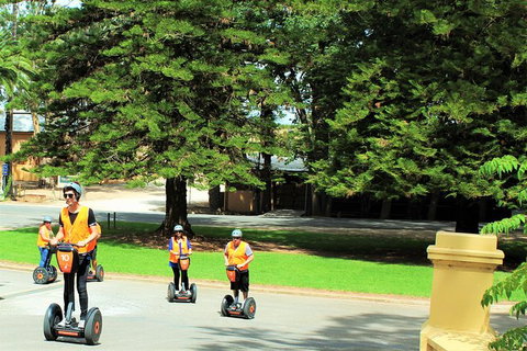 Segway Tour At Seppeltsfield Winery - Tourism Canberra 6