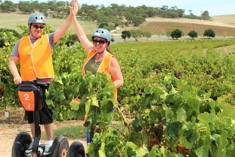 Segway Tour At Seppeltsfield Winery - Tourism Canberra 5