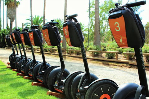 Segway Tour At Seppeltsfield Winery - Tourism Canberra 3