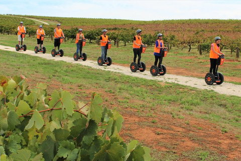 Segway Tour At Seppeltsfield Winery - Tourism Canberra 7