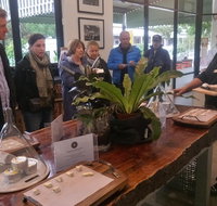Half-Day Tour with a unique Barossan experience - Tourism Canberra