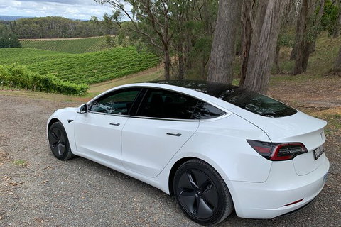 Adelaide Airport Departure Transfer In A Tesla Model3 EV - Tourism Canberra 2