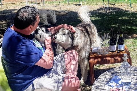 Barossa Private Wine Tour - Tourism Canberra 7