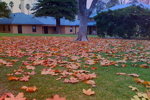Barossa Private Wine Tour - Tourism Canberra 1