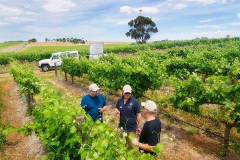 Two Hands Wines \'Single Vineyards Experience\' - Tourism Canberra 1