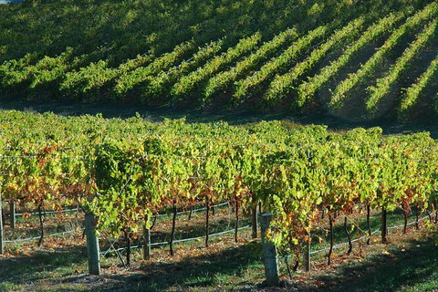 Adelaide Hills Wineries & Hahndorf - Tourism Canberra 10