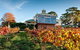 Adelaide Hills Food, Wine, Cheese, & Chocolate - Private Day Tour - thumb 7