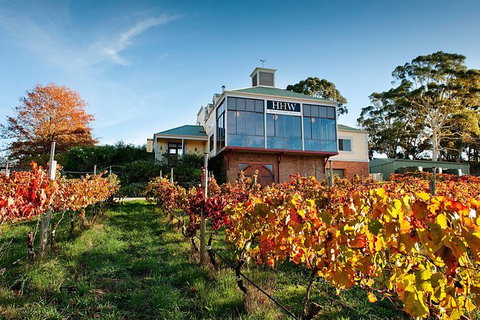 Adelaide Hills Food, Wine, Cheese, & Chocolate - Private Day Tour - Tourism Canberra 7