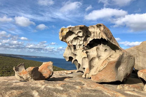 NEW TOUR - Flinders Chase Tour (Recovering From Fires) - Tourism Canberra 2