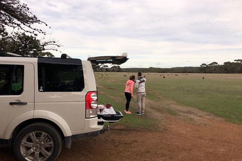 NEW TOUR - Flinders Chase Tour (Recovering From Fires) - Tourism Canberra 6