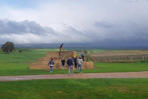 Private Wine Tour - Tourism Canberra 4