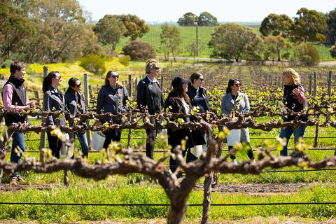 Walk, Taste, Graze - Experience At Pindarie - Tourism Canberra 2