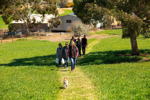 Walk, Taste, Graze - Experience At Pindarie - Tourism Canberra 7