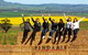 Walk, Taste, Graze - Experience At Pindarie - thumb 0