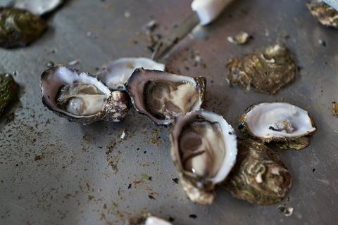 Fine Flavours - Full Day Kangaroo Island Food & Wine Tour - Tourism Canberra 10