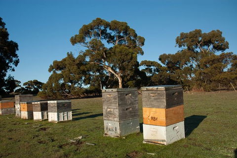 Fine Flavours - Full Day Kangaroo Island Food & Wine Tour - Tourism Canberra 5